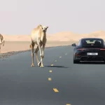 Porsche 911 Hybrid 2025